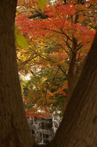 f0212217_14354.jpg