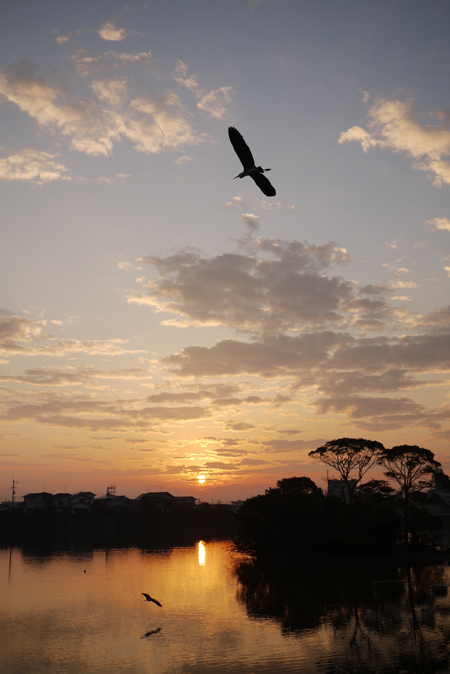 e0200926_8201499.jpg