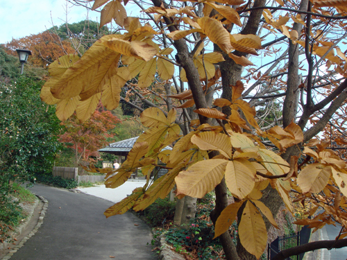 a0129233_1673922.jpg