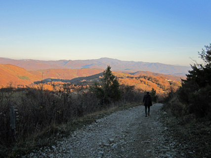 f0234936_80898.jpg