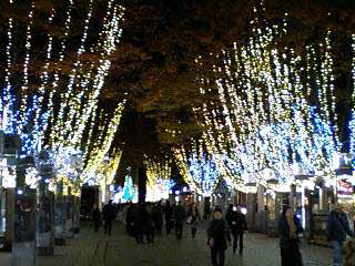 f0210439_21411028.jpg