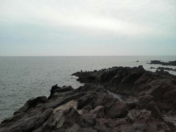 a0107341_2372679.jpg