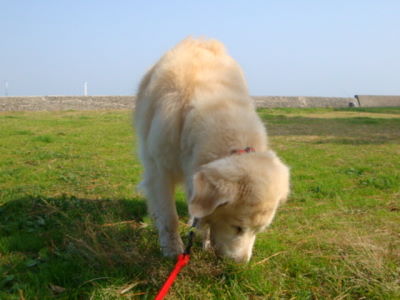 e0158841_142327.jpg