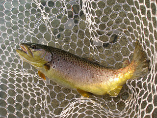 f0065341_10564686.jpg