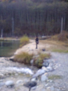 f0065341_9365335.jpg