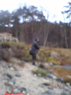 f0065341_937132.jpg