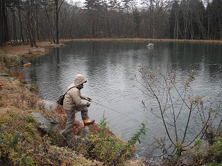 f0065341_9385696.jpg