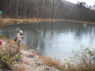 f0065341_9394979.jpg