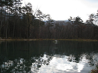 f0065341_9473516.jpg