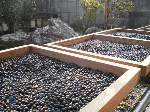 e0224842_1546312.jpg
