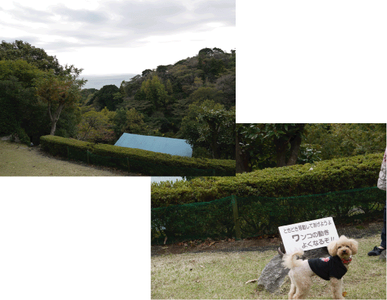 b0182846_20565256.gif