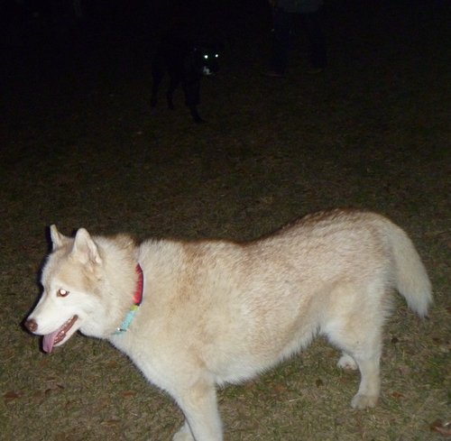 e0121548_2281110.jpg
