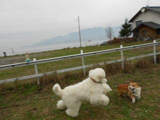 d0033151_23312479.jpg