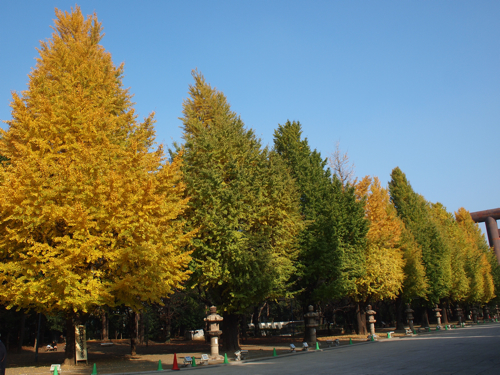 f0035251_1454859.jpg