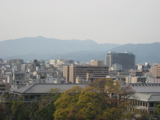 c0073152_233377.jpg