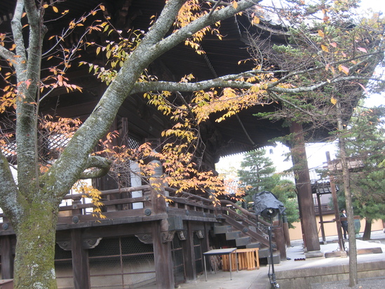 c0073152_23415727.jpg