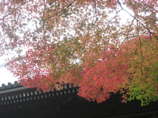 c0073152_23432652.jpg