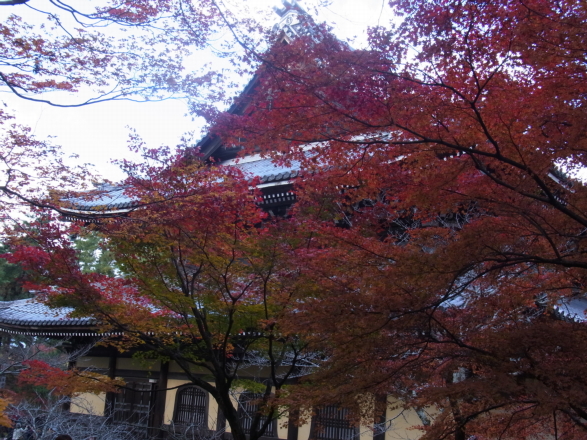 c0224154_112343.jpg