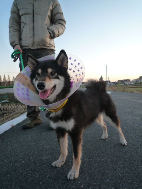 f0177261_12521942.jpg