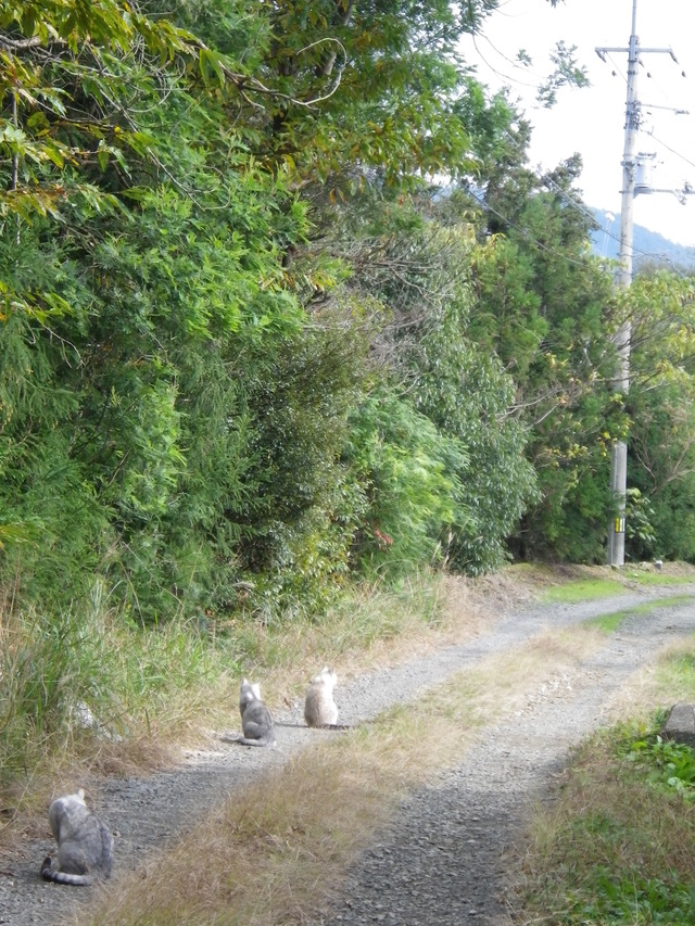 f0055264_21114279.jpg