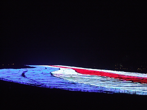 d0019169_10535650.jpg