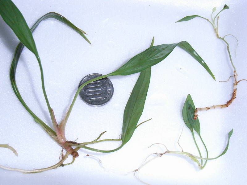 d0249970_2304534.jpg