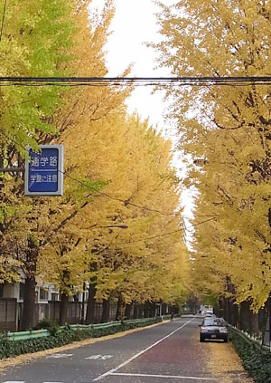 c0161772_23322879.jpg