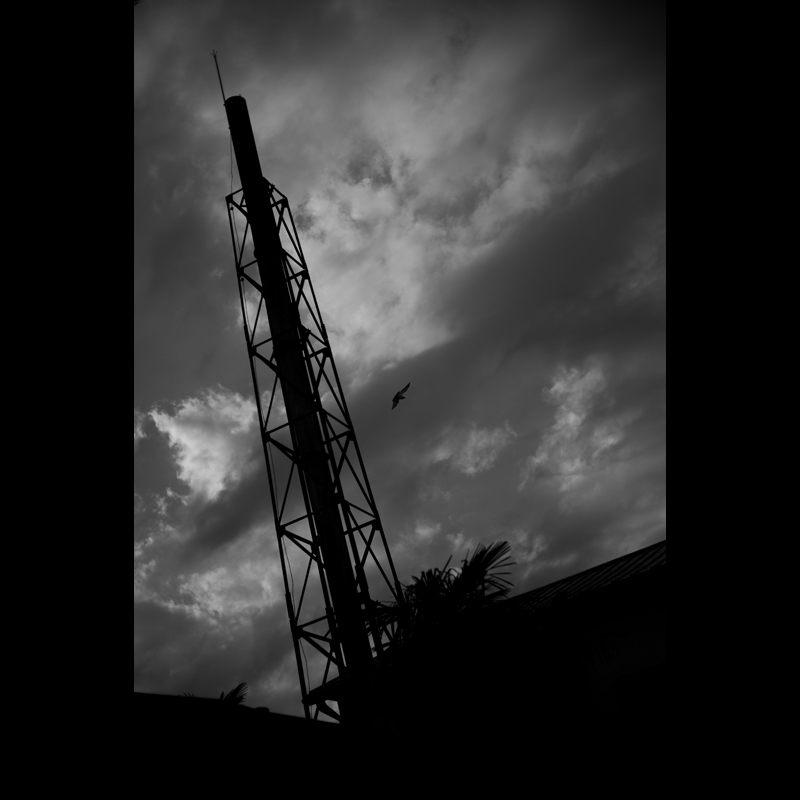 c0118173_18402369.jpg