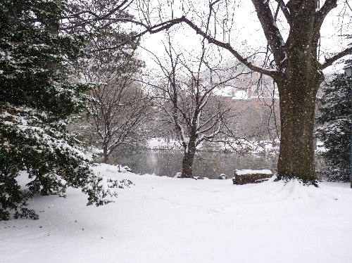 d0084473_2019991.jpg