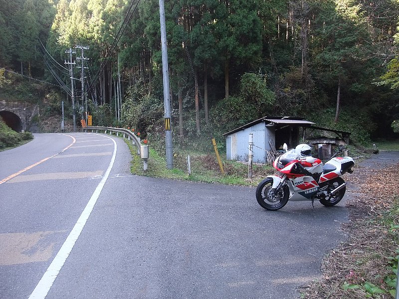 c0003475_11152215.jpg