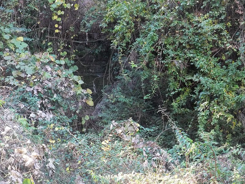 c0003475_11285584.jpg