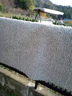 c0228378_15113775.jpg