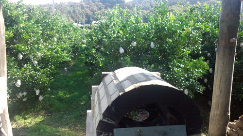 c0009280_1633456.jpg