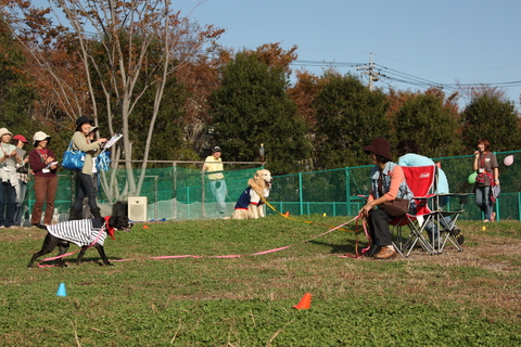 f0230380_1849260.jpg