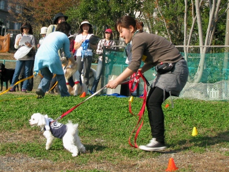 f0230380_1857183.jpg