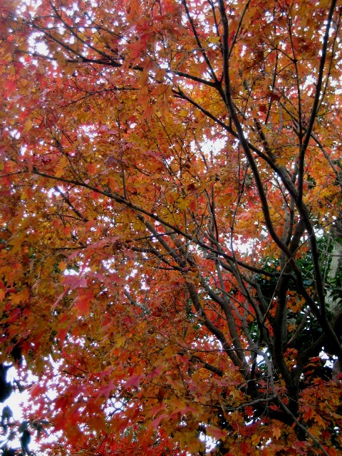 c0221281_233111.jpg