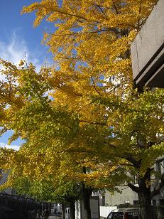 b0159585_14315841.jpg