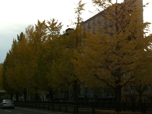 d0240489_1952772.jpg