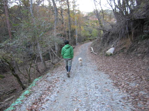 c0196992_15361216.jpg