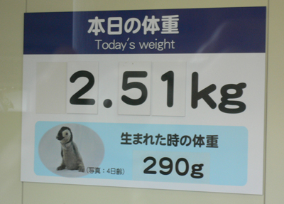 d0123492_22431549.jpg