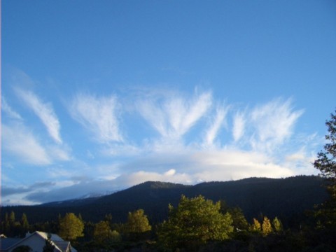 c0159896_13443726.jpg