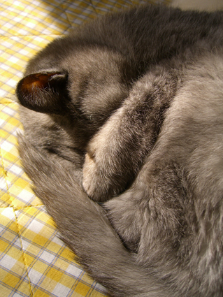a0045697_23531039.jpg