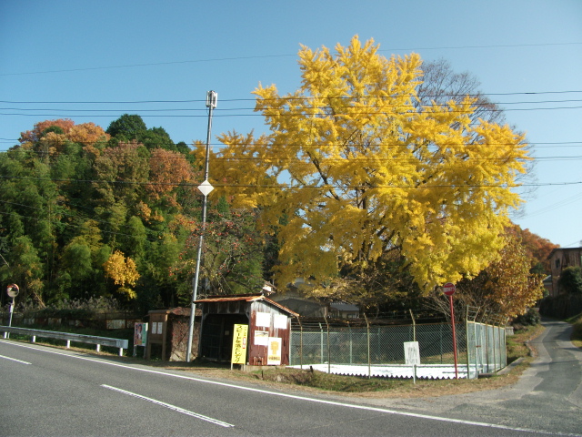 a0194797_1702034.jpg