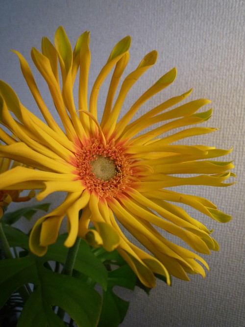 b0223999_19213583.jpg
