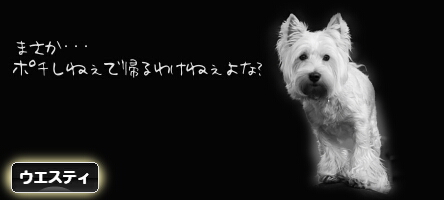 にほんブログ村 犬ブログ ウエスティへ