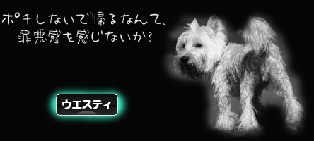 にほんブログ村 犬ブログ ウエスティへ