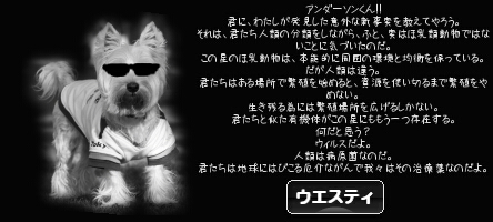 にほんブログ村 犬ブログ ウエスティへ
