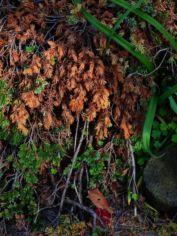 b0138101_22511089.jpg