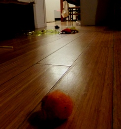 e0224610_1827610.jpg