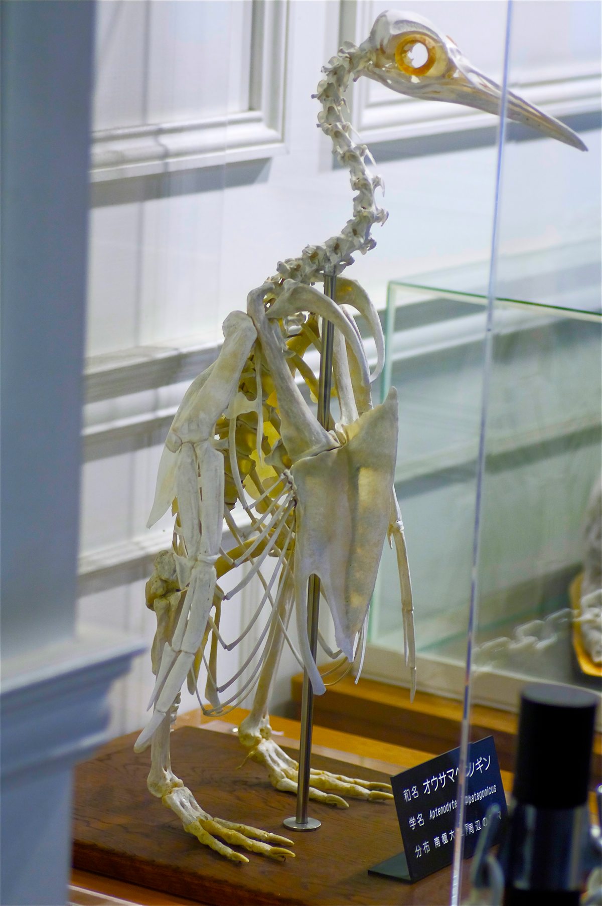 e0142611_2371396.jpg